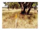 Binnaway NSW 2395