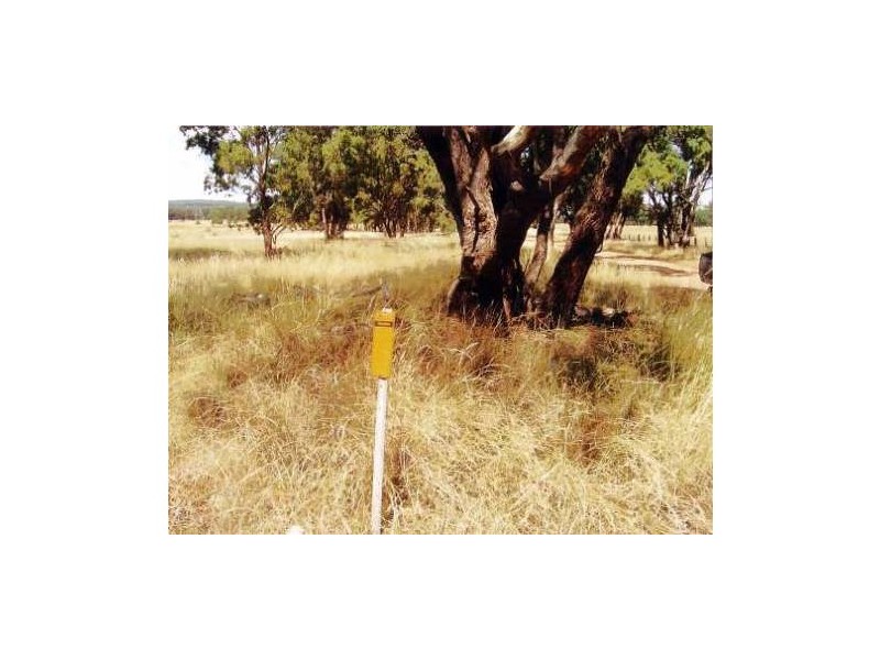 Binnaway NSW 2395