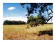 Binnaway NSW 2395