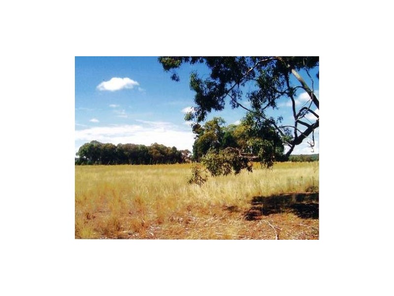 Binnaway NSW 2395
