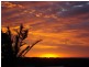 Buderim QLD 4556