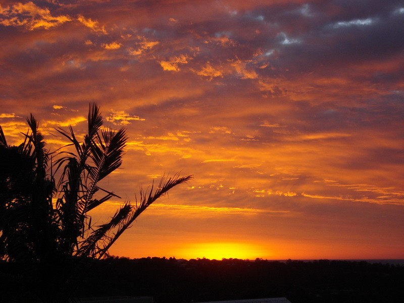 Buderim QLD 4556