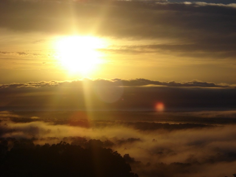 Buderim QLD 4556