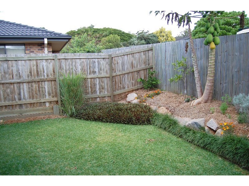 43 Redway St, Nudgee QLD 4014