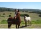 182 Yeates Rd, Beerwah QLD 4519
