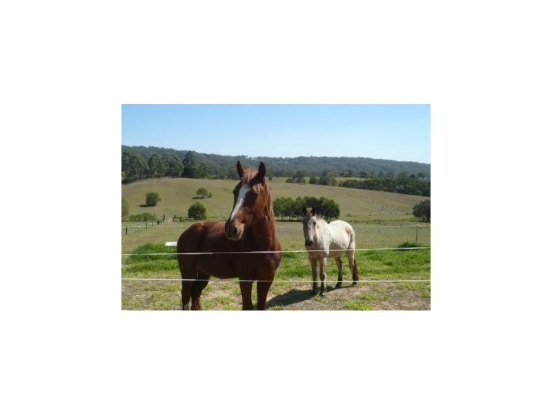 182 Yeates Rd, Beerwah QLD 4519