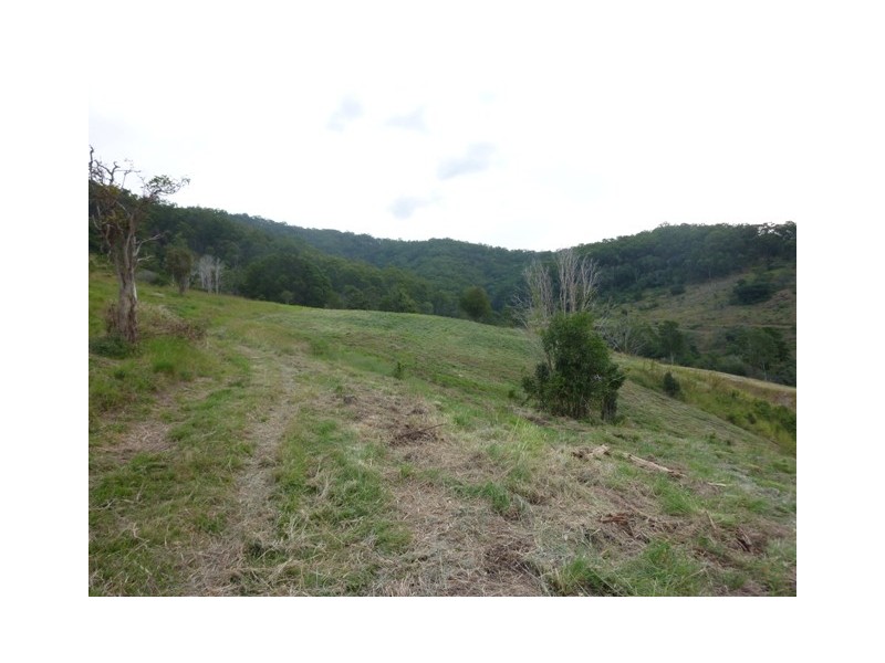 Lot 9 Morrison Road, Cedar Creek QLD 4520