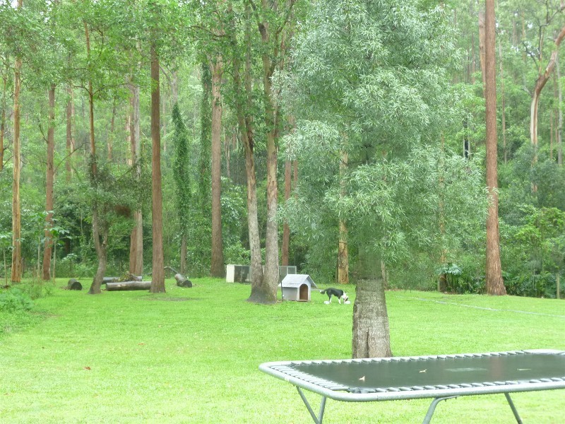 3 Bertha Court, Bunya QLD 4055