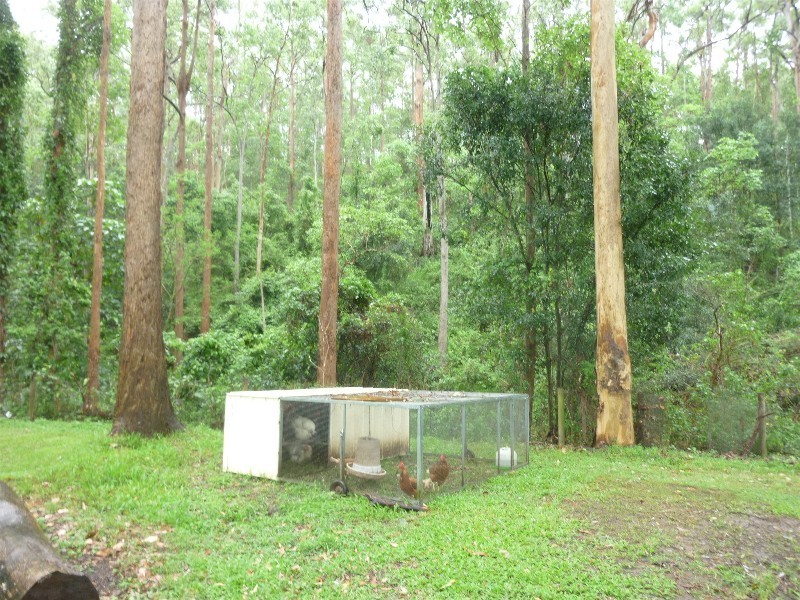 3 Bertha Court, Bunya QLD 4055