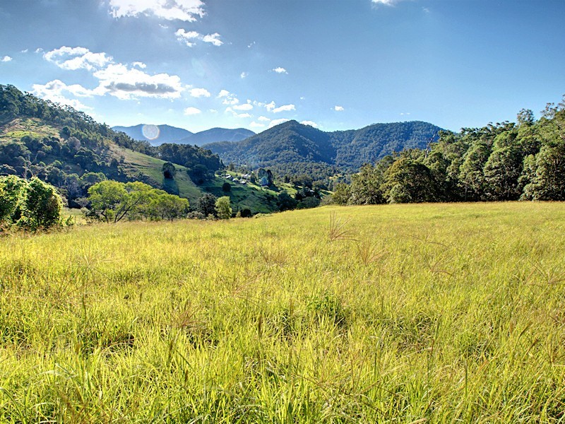 Lot 6 Morrison Road, Cedar Creek QLD 4520