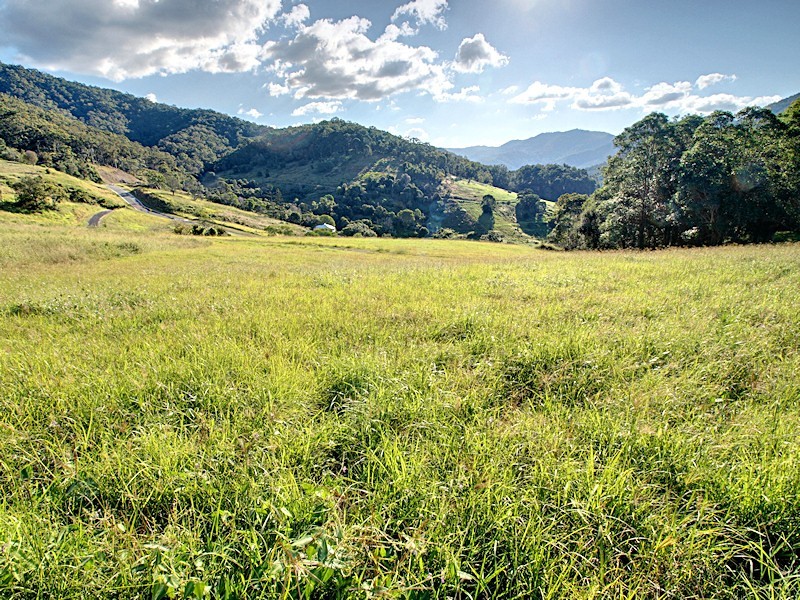 Lot 6 Morrison Road, Cedar Creek QLD 4520