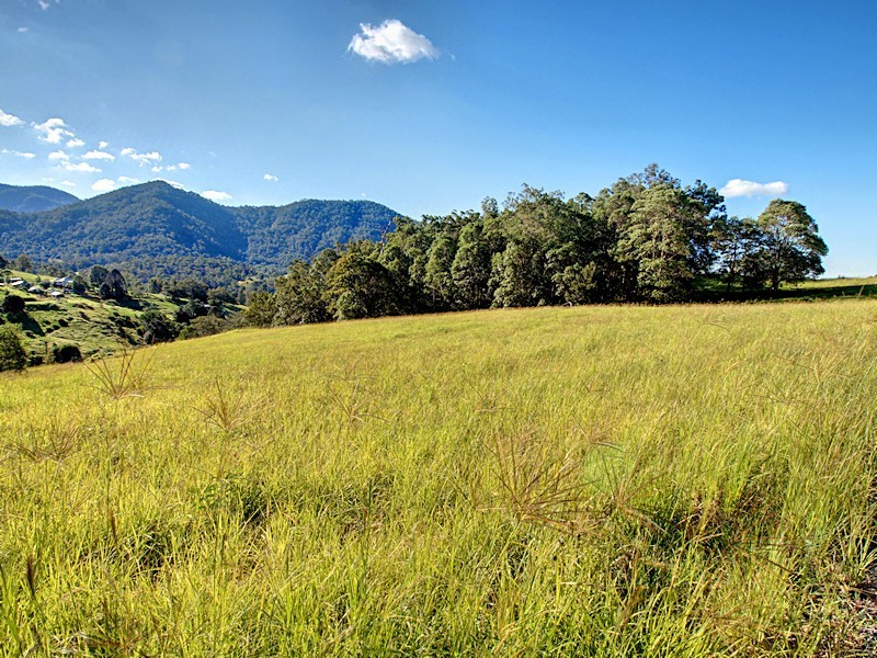 Lot 6 Morrison Road, Cedar Creek QLD 4520