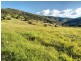 Lot 6 Morrison Road, Cedar Creek QLD 4520