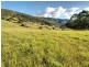 Lot 6 Morrison Road, Cedar Creek QLD 4520