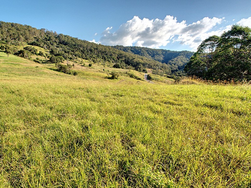 Lot 6 Morrison Road, Cedar Creek QLD 4520