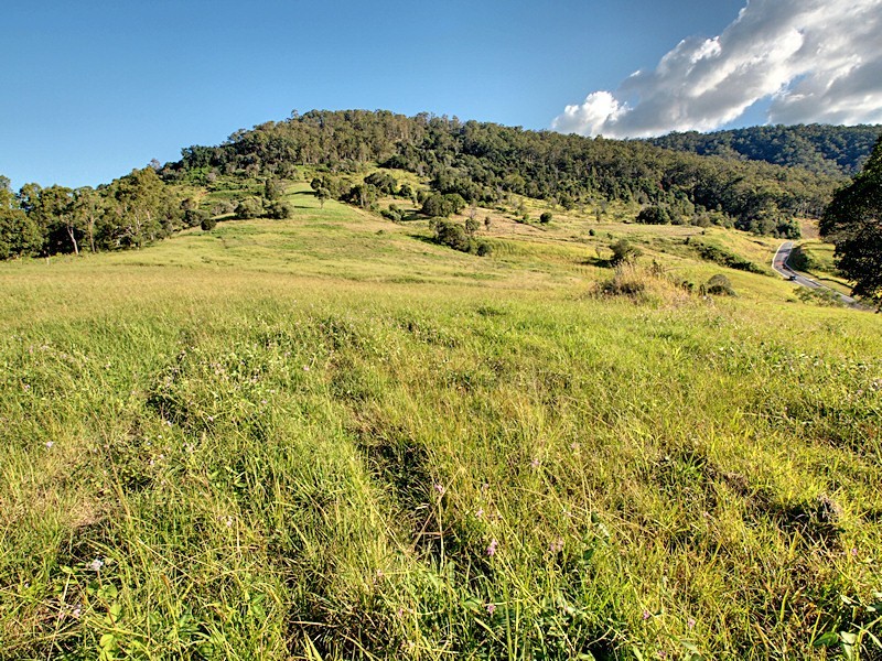 Lot 6 Morrison Road, Cedar Creek QLD 4520