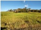 Lot 3 Morrison Road, Cedar Creek QLD 4520