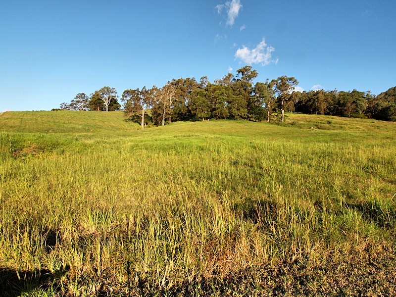 Lot 3 Morrison Road, Cedar Creek QLD 4520