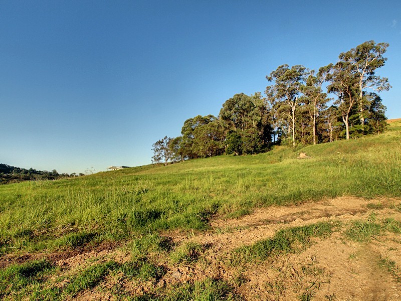 Lot 3 Morrison Road, Cedar Creek QLD 4520