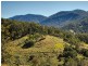 Lot 10 Morrison Road, Cedar Creek QLD 4520