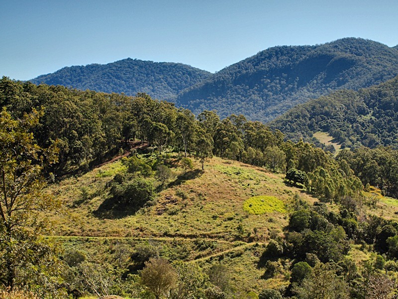 Lot 10 Morrison Road, Cedar Creek QLD 4520