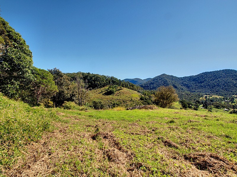 Lot 10 Morrison Road, Cedar Creek QLD 4520