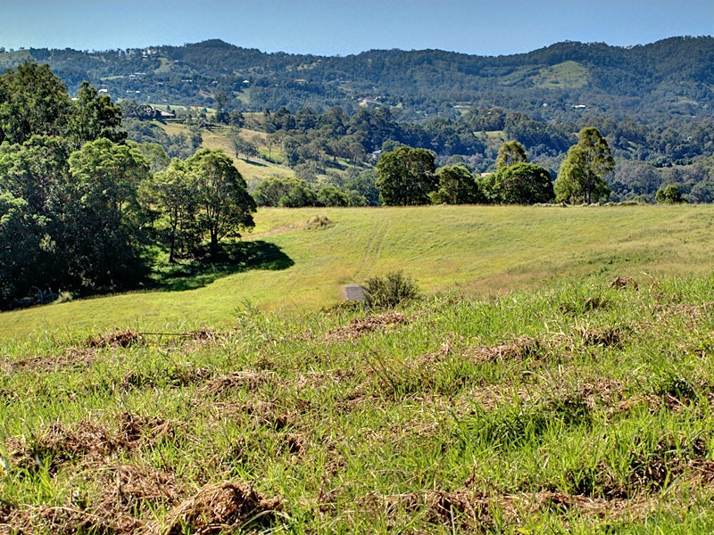 Lot 10 Morrison Road, Cedar Creek QLD 4520