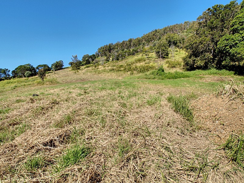 Lot 10 Morrison Road, Cedar Creek QLD 4520