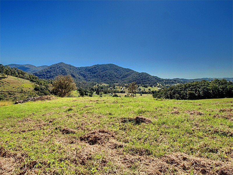 Lot 10 Morrison Road, Cedar Creek QLD 4520