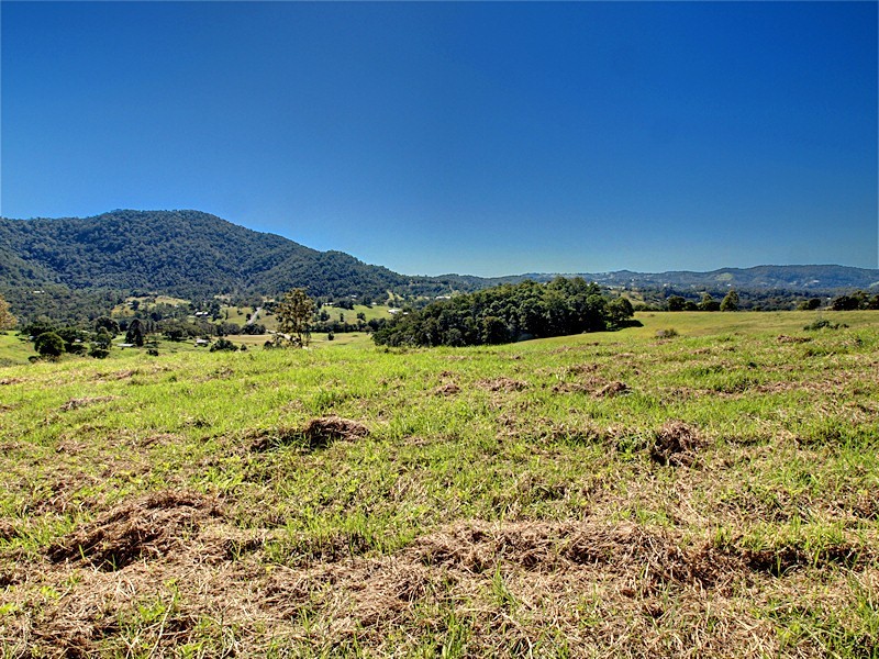 Lot 10 Morrison Road, Cedar Creek QLD 4520