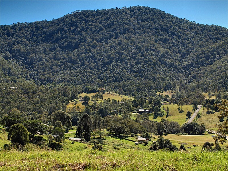 Lot 10 Morrison Road, Cedar Creek QLD 4520