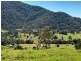 Lot 10 Morrison Road, Cedar Creek QLD 4520