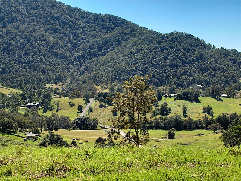 Lot 10 Morrison Road, Cedar Creek QLD 4520