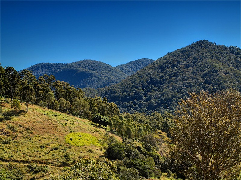 Lot 10 Morrison Road, Cedar Creek QLD 4520