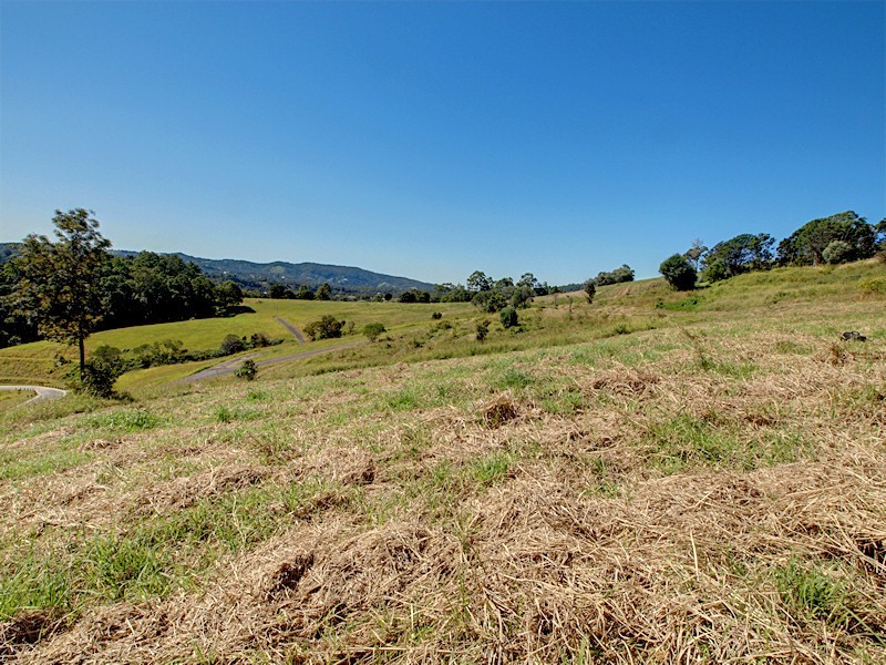 Lot 10 Morrison Road, Cedar Creek QLD 4520