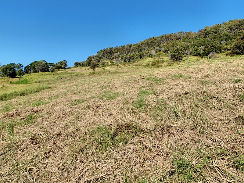 Lot 10 Morrison Road, Cedar Creek QLD 4520