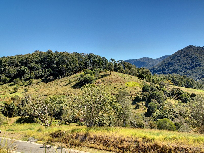 Lot 10 Morrison Road, Cedar Creek QLD 4520