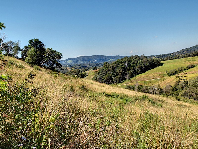 Lot 15 Morrison Road, Cedar Creek QLD 4520