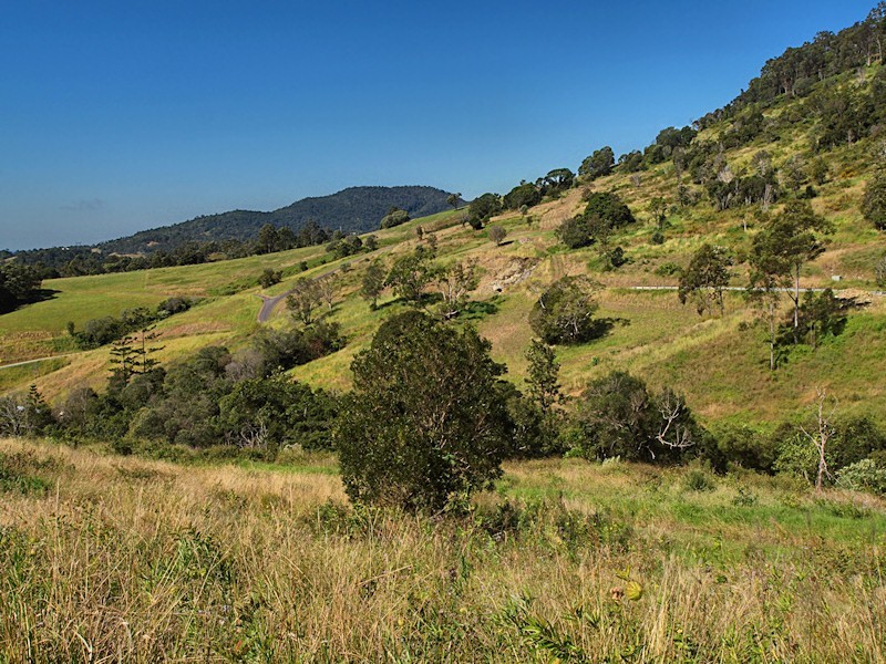 Lot 15 Morrison Road, Cedar Creek QLD 4520