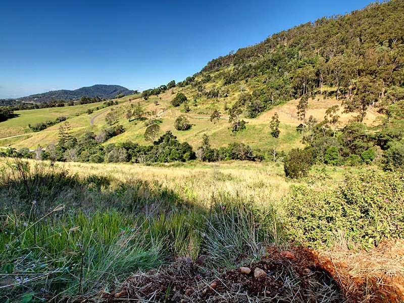 Lot 15 Morrison Road, Cedar Creek QLD 4520