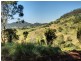 Lot 15 Morrison Road, Cedar Creek QLD 4520