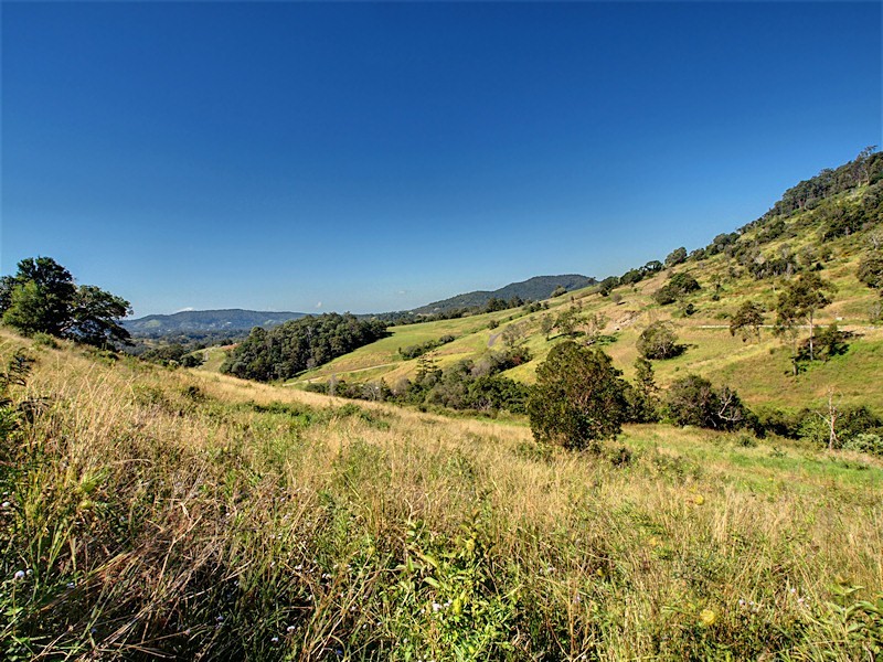 Lot 15 Morrison Road, Cedar Creek QLD 4520