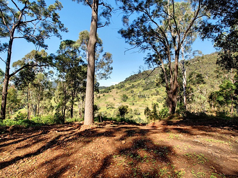 Lot 15 Morrison Road, Cedar Creek QLD 4520