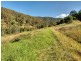 Lot 15 Morrison Road, Cedar Creek QLD 4520