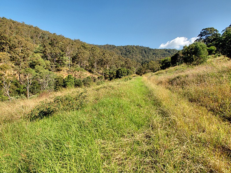 Lot 15 Morrison Road, Cedar Creek QLD 4520