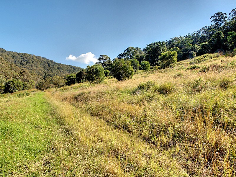 Lot 15 Morrison Road, Cedar Creek QLD 4520