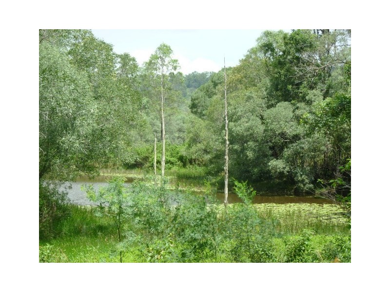 Lot 7 McCausland Court, Clear Mountain QLD 4500