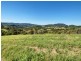 Lot 8 Morrison Road, Cedar Creek QLD 4520