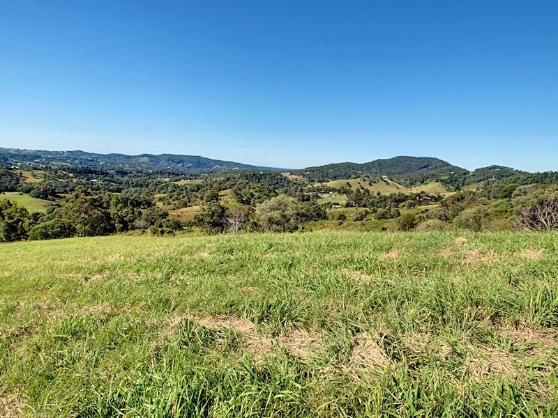 Lot 8 Morrison Road, Cedar Creek QLD 4520