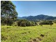 Lot 8 Morrison Road, Cedar Creek QLD 4520